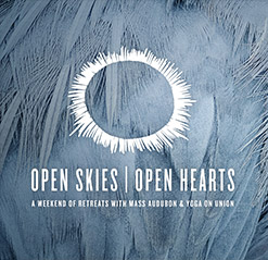 Open Hearts | Open Skies