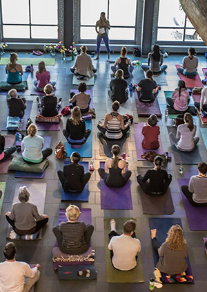 Yoga at the Whaling Museum
